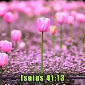 Meet your Posher, Claudia